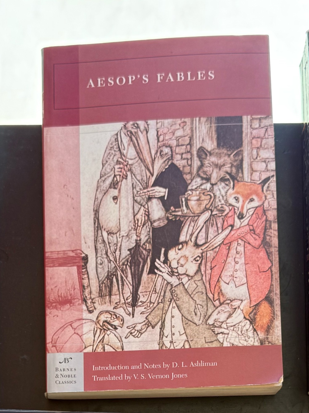 Aesop's Fables Illustrated Hardcover - Burgundy Cover